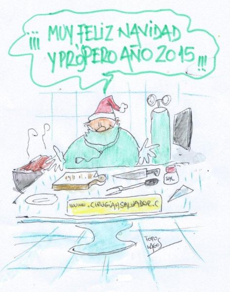 Diciembre 2014