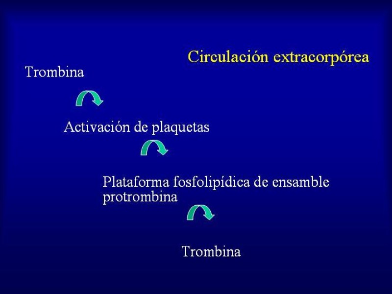 Diapositiva 9 de Efectos deletéreos de la transfusión masiva en cardiocirugía