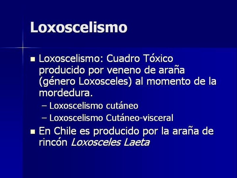 Diapositiva 13 de Celulitis, Erisipela y Loxoscelismo