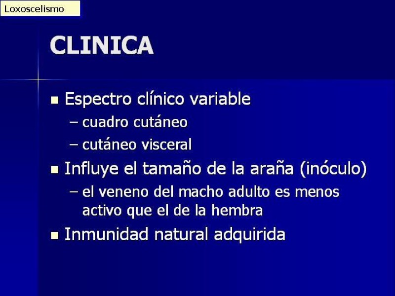 Diapositiva 17 de Celulitis, Erisipela y Loxoscelismo