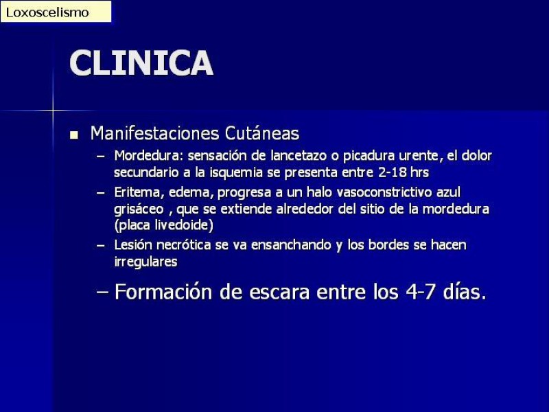 Diapositiva 24 de Celulitis, Erisipela y Loxoscelismo
