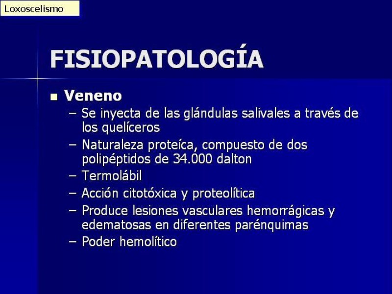 Diapositiva 16 de Celulitis, Erisipela y Loxoscelismo