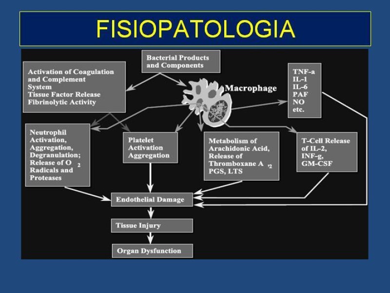 Diapositiva 22 de Sepsis