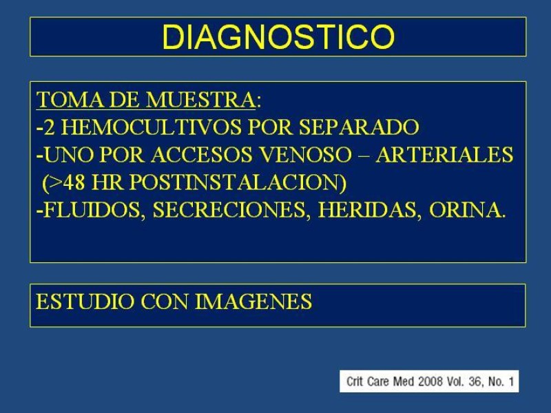 Diapositiva 20 de Sepsis