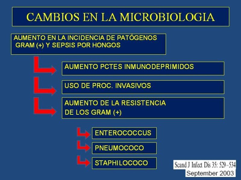 Diapositiva 14 de Sepsis
