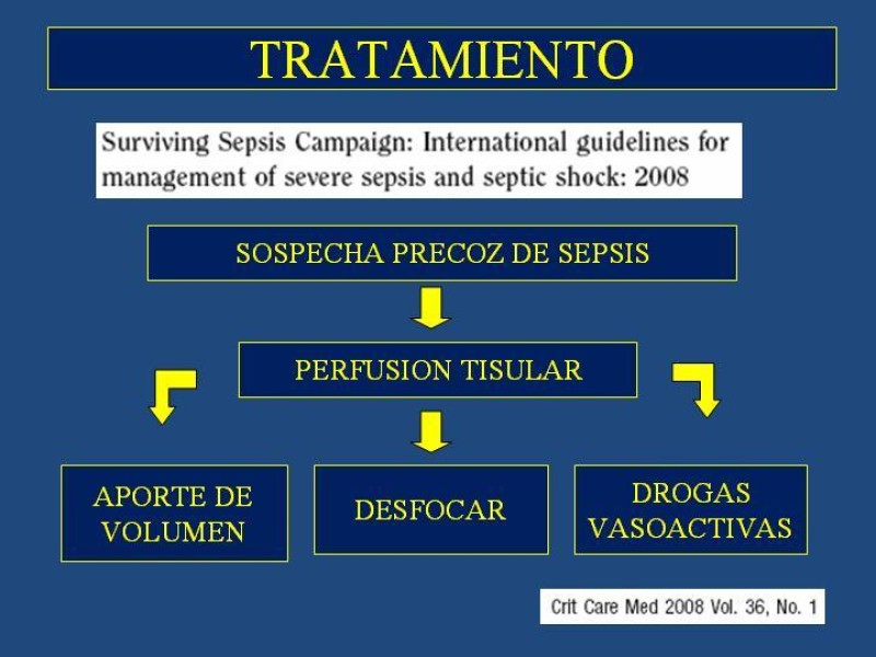 Diapositiva 24 de Sepsis