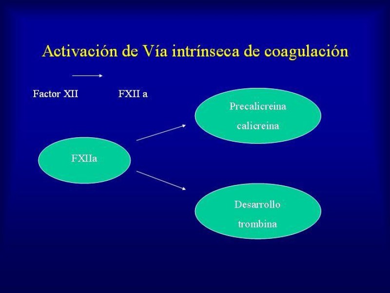 Diapositiva 11 de Efectos deletéreos de la transfusión masiva en cardiocirugía