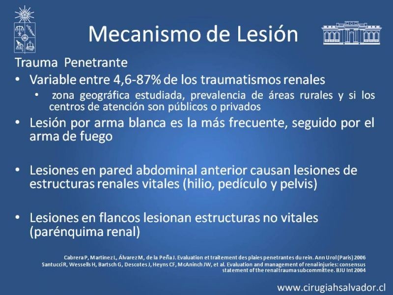Diapositiva 3 de Trauma Renal