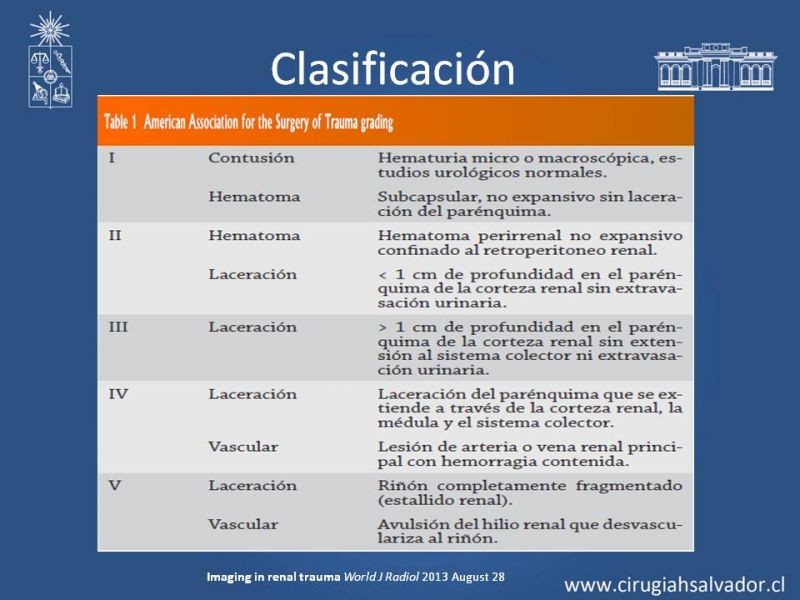 Diapositiva 7 de Trauma Renal