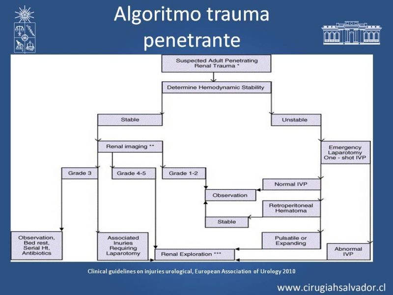 Diapositiva 14 de Trauma Renal