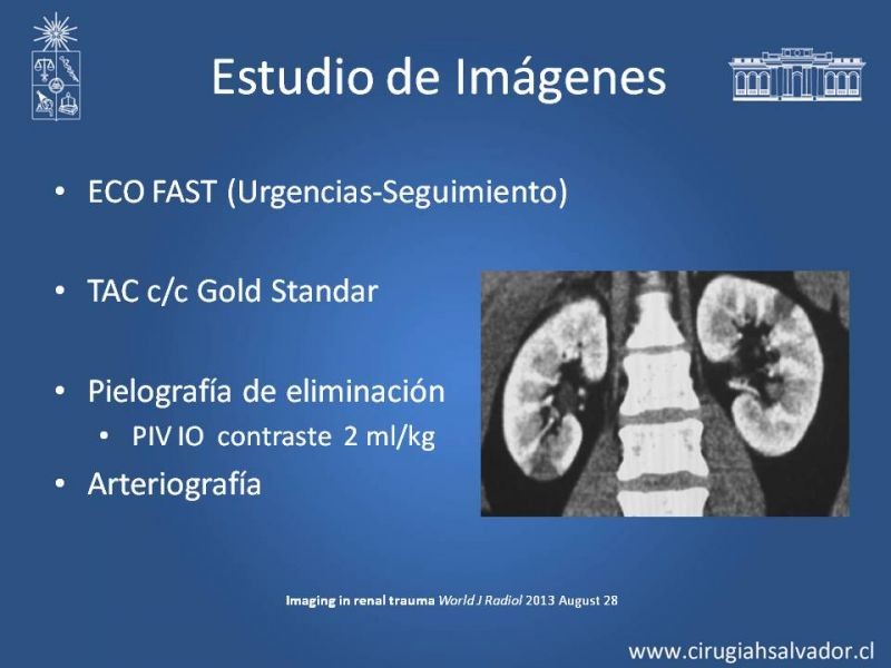 Diapositiva 6 de Trauma Renal
