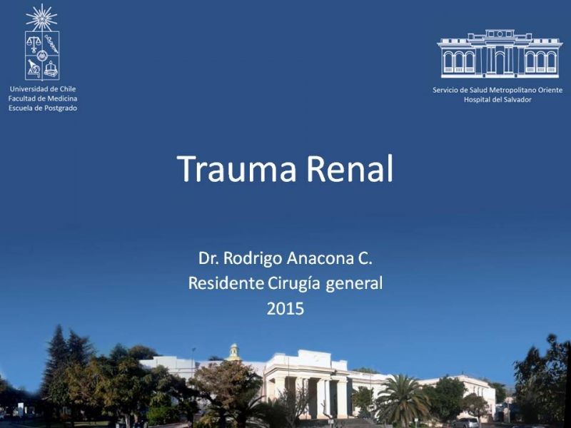Diapositiva 17 de Trauma Renal
