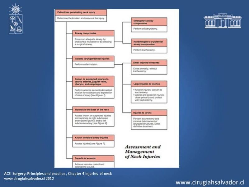 Diapositiva 22 de Trauma Penetrante Cervical