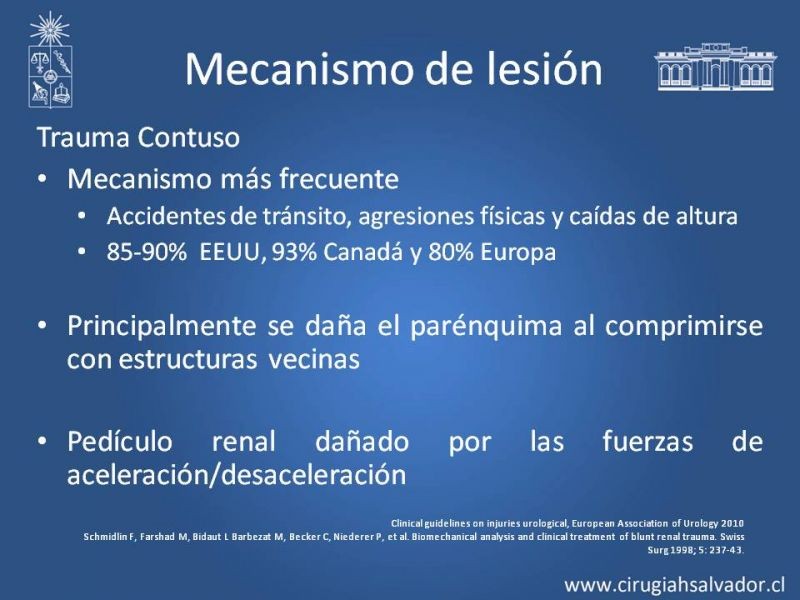 Diapositiva 2 de Trauma Renal
