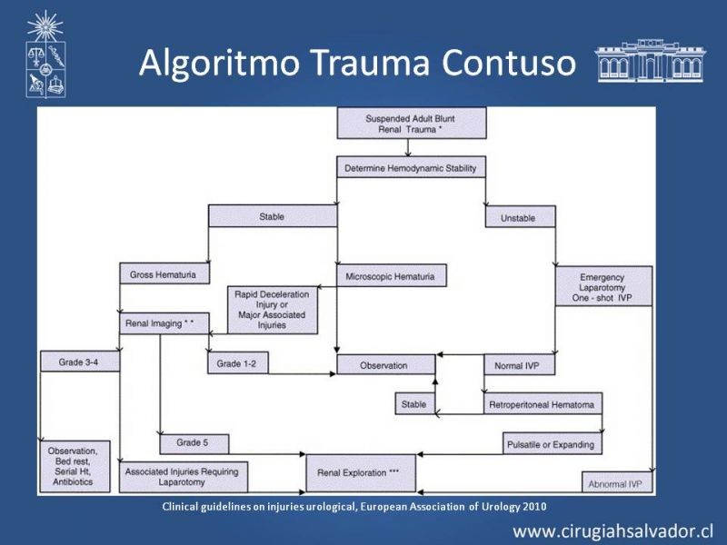 Diapositiva 13 de Trauma Renal