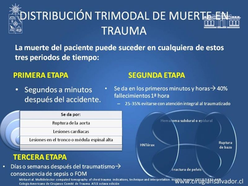 Diapositiva 3 de Trauma Torax I