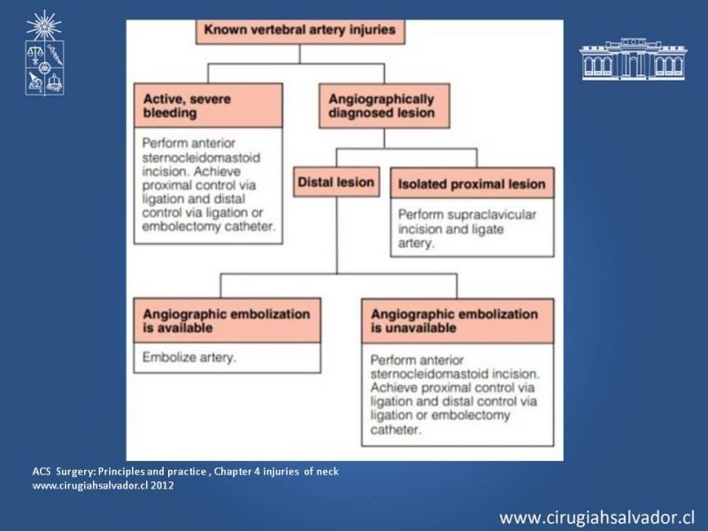 Diapositiva 26 de Trauma Penetrante Cervical