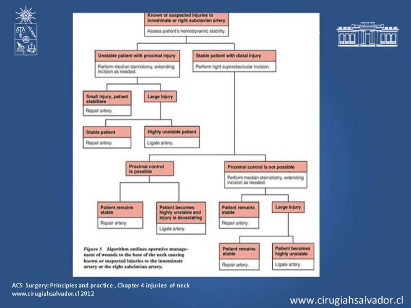 Diapositiva 24 de Trauma Penetrante Cervical