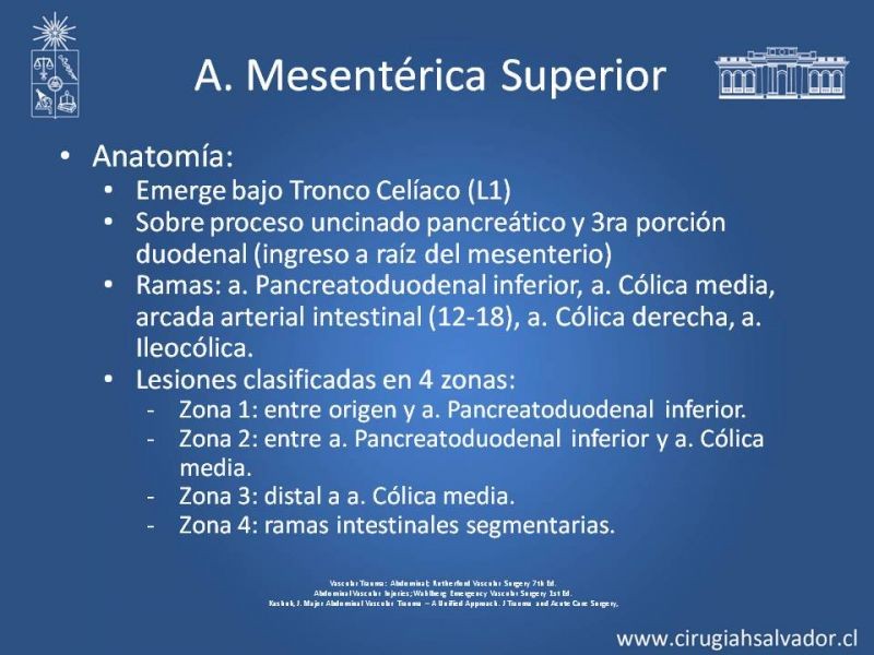 Diapositiva 32 de Trauma Vascular Abdominal