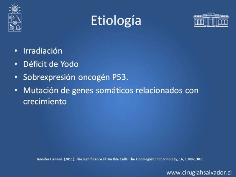 Diapositiva 8 de Tumor Celulas de Hurthle