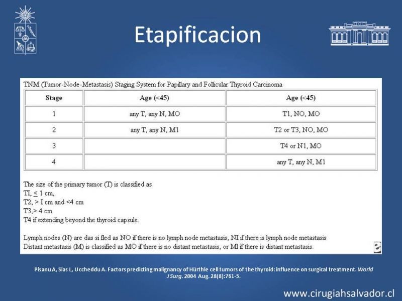 Diapositiva 11 de Tumor Celulas de Hurthle