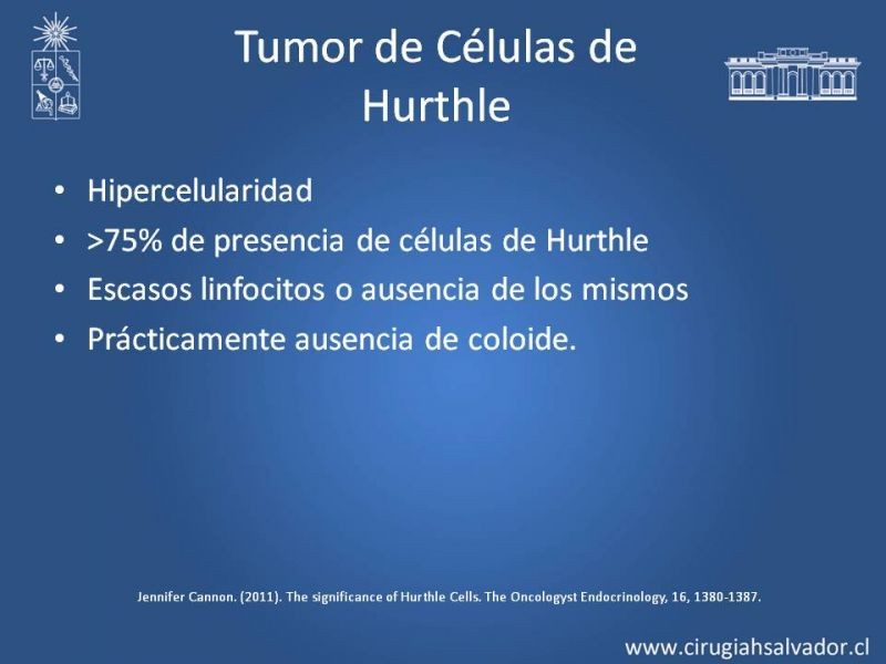 Diapositiva 3 de Tumor Celulas de Hurthle