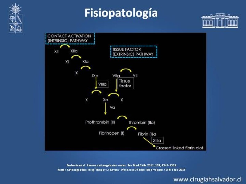 Diapositiva 3 de Nuevos Anticoagulantes
