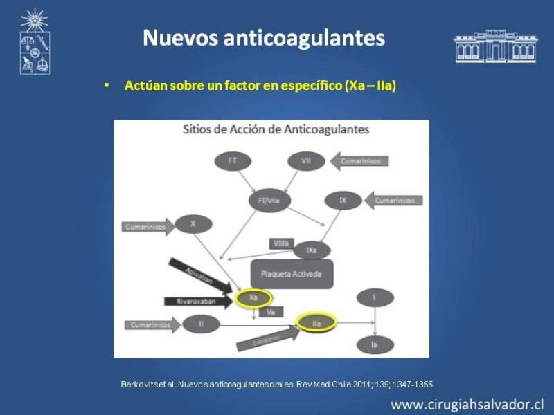 Diapositiva 6 de Nuevos Anticoagulantes