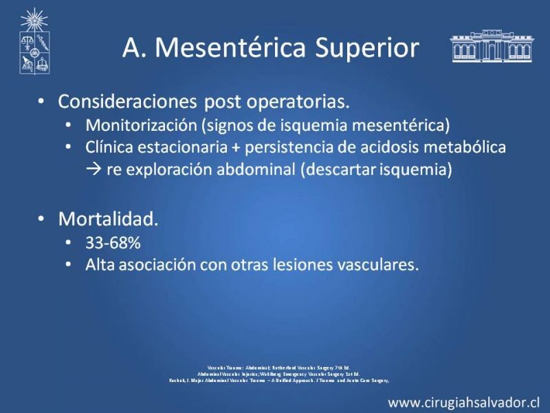 Diapositiva 31 de Lesión Vascular Abdominal