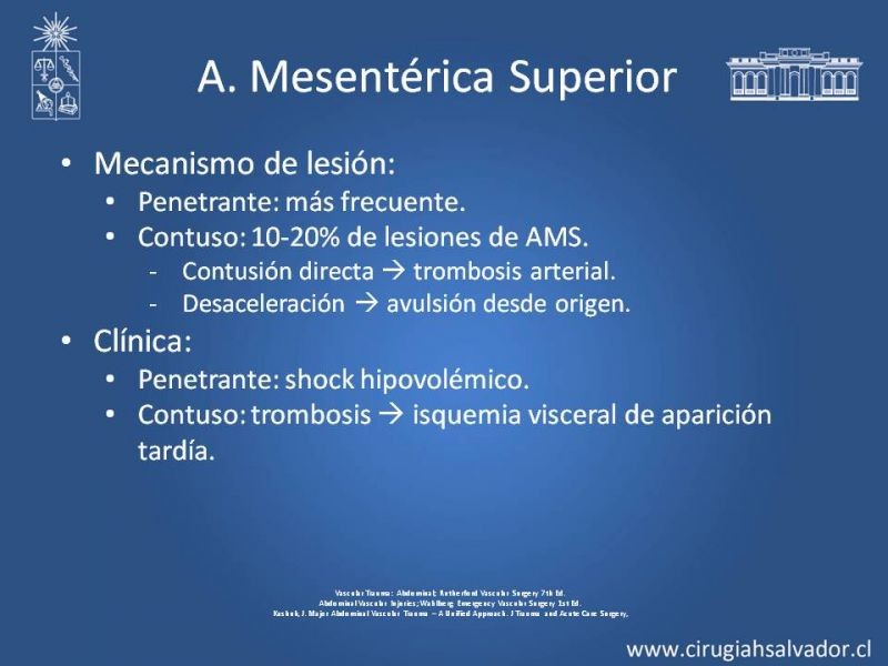 Diapositiva 27 de Lesión Vascular Abdominal