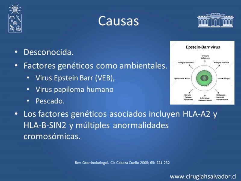 Diapositiva 18 de Tumores de Rinofaringe