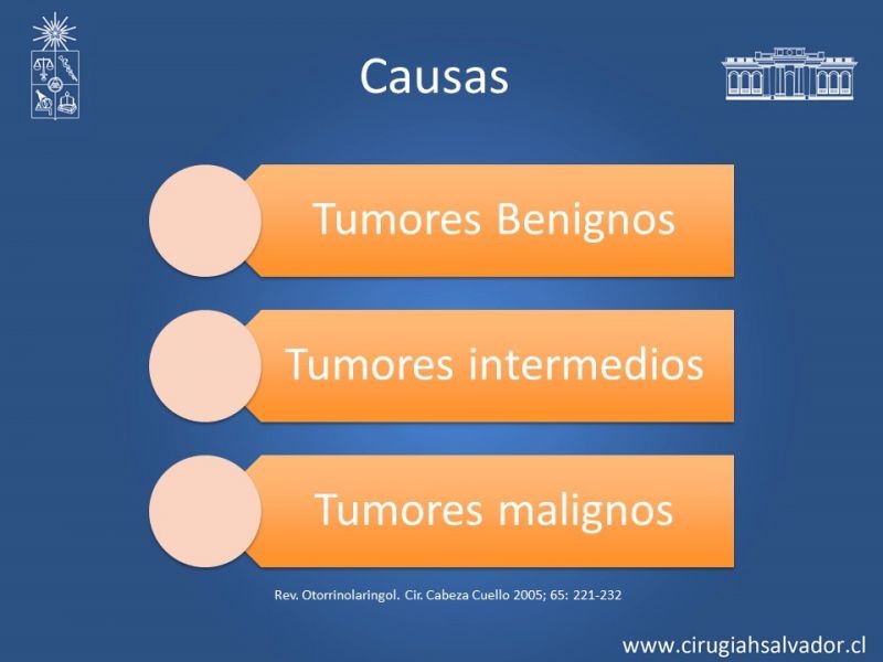 Diapositiva 7 de Tumores de Rinofaringe