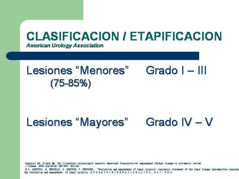 Diapositiva 12 de Traumatismo renal