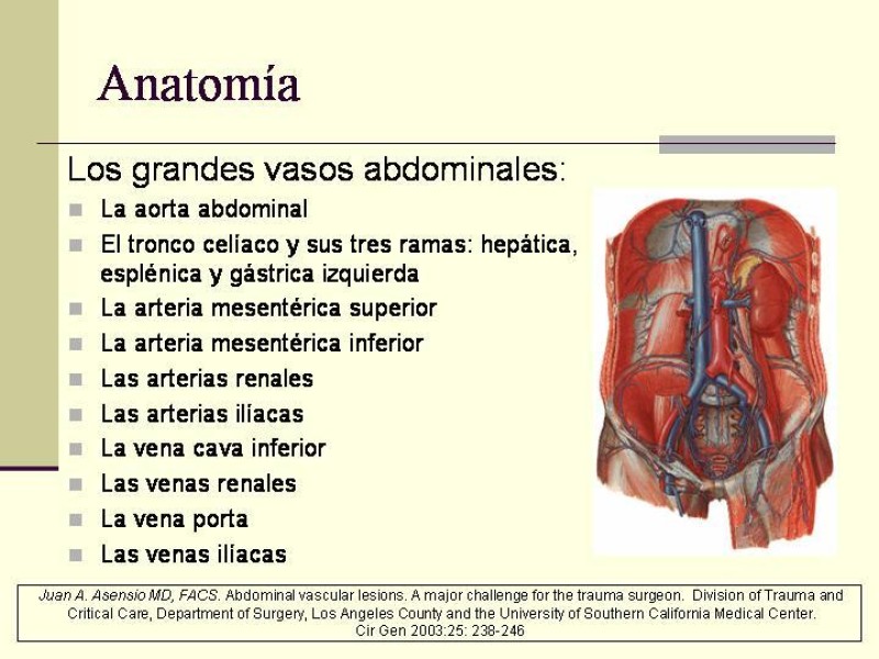Diapositiva 2 de Lesiones Vasculares Abdominales