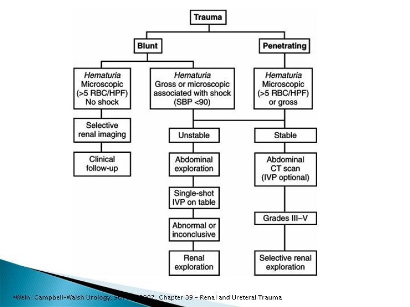 Diapositiva 14 de Trauma renal