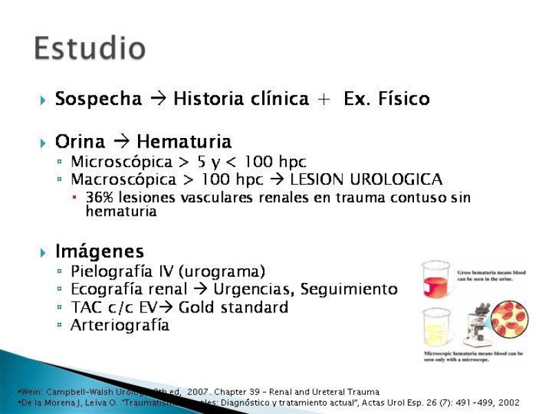 Diapositiva 5 de Trauma renal