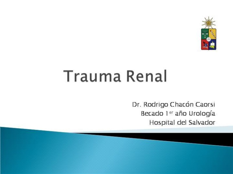 Diapositiva 17 de Trauma renal