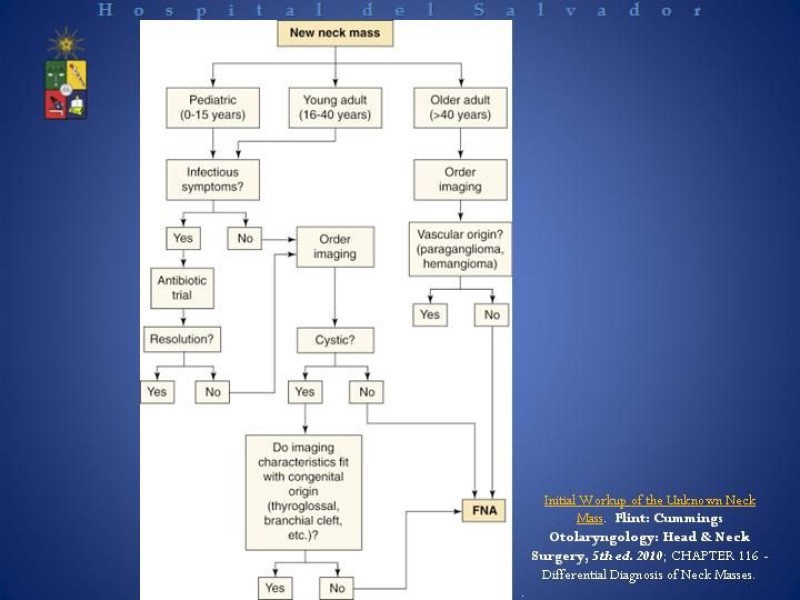 Diapositiva 2 de Masa cervical