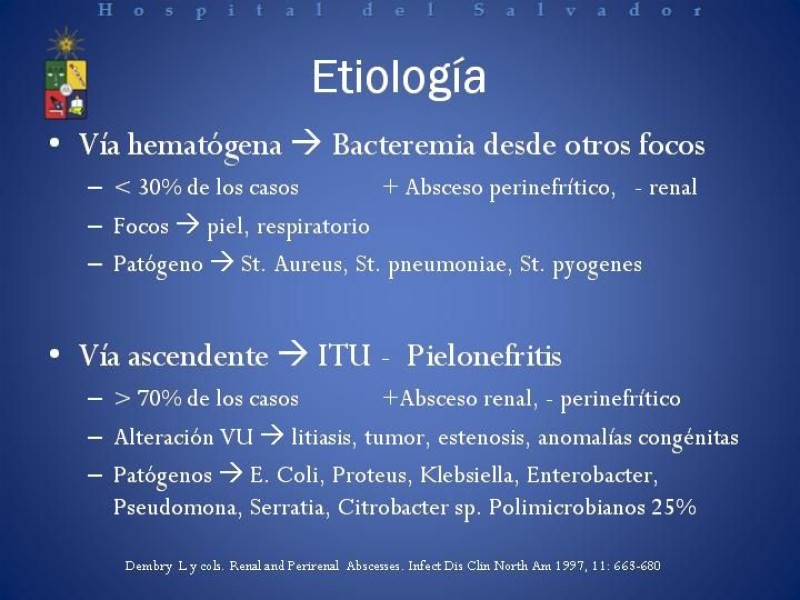 Diapositiva 17 de Manejo de los Abscesos Renales y Perinefríticos a propósito de un caso clínico