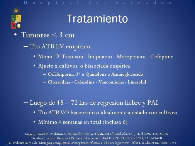 Diapositiva 24 de Manejo de los Abscesos Renales y Perinefríticos a propósito de un caso clínico