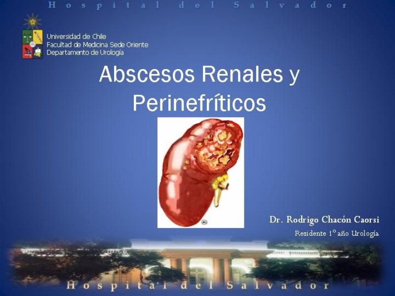 Diapositiva 12 de Manejo de los Abscesos Renales y Perinefríticos a propósito de un caso clínico