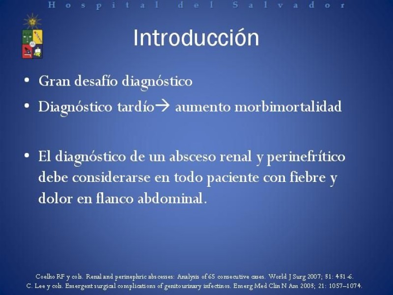 Diapositiva 13 de Manejo de los Abscesos Renales y Perinefríticos a propósito de un caso clínico