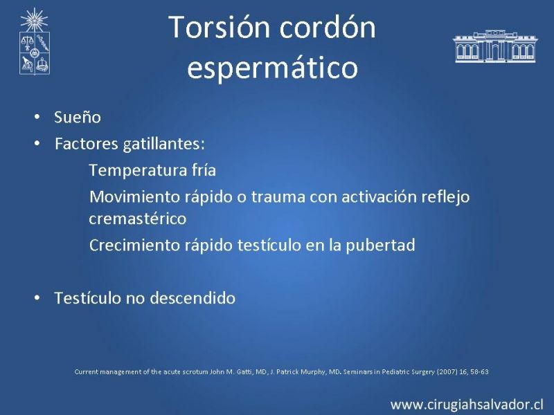 Diapositiva 9 de Escroto Agudo
