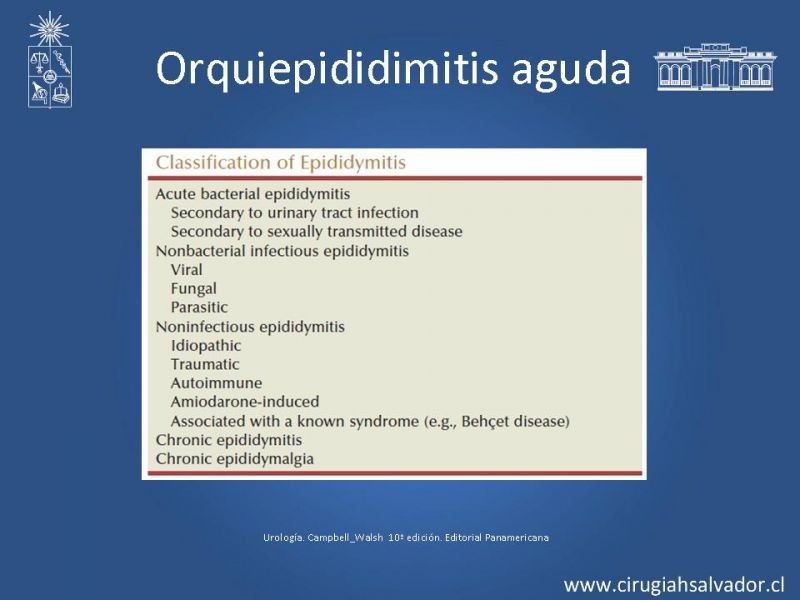 Diapositiva 19 de Escroto Agudo
