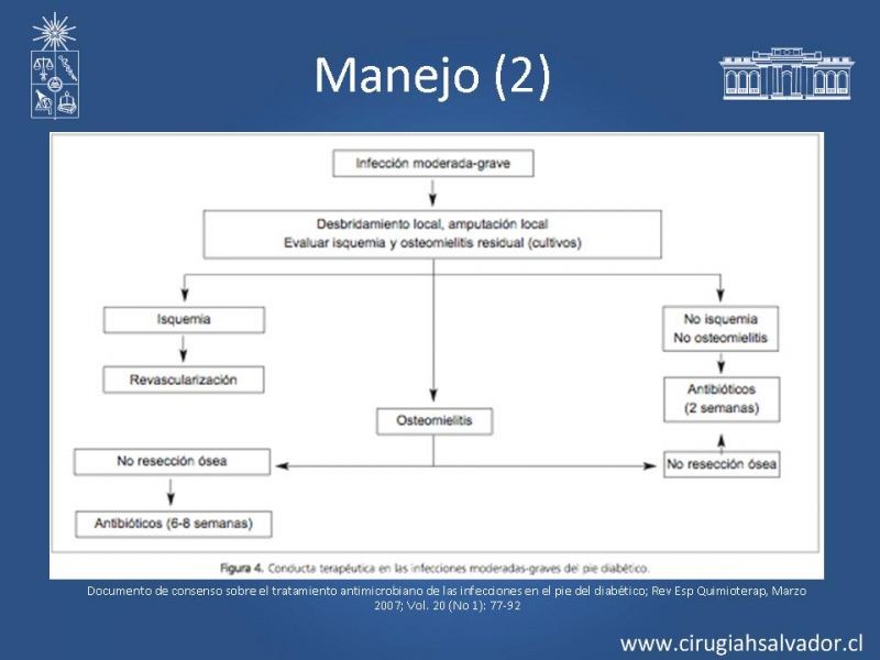 Diapositiva 17 de Pie Diabético