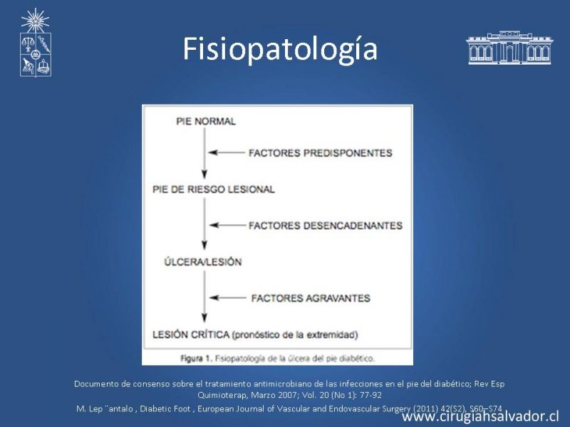 Diapositiva 3 de Pie Diabético
