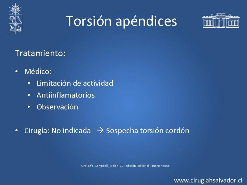 Diapositiva 17 de Escroto Agudo