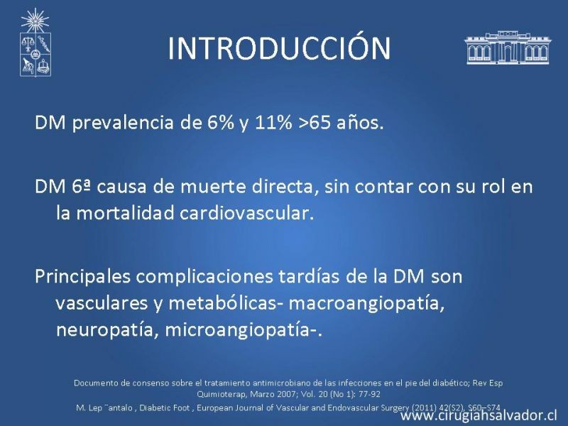 Diapositiva 1 de Pie Diabético
