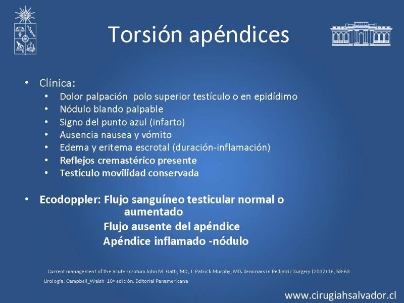 Diapositiva 16 de Escroto Agudo