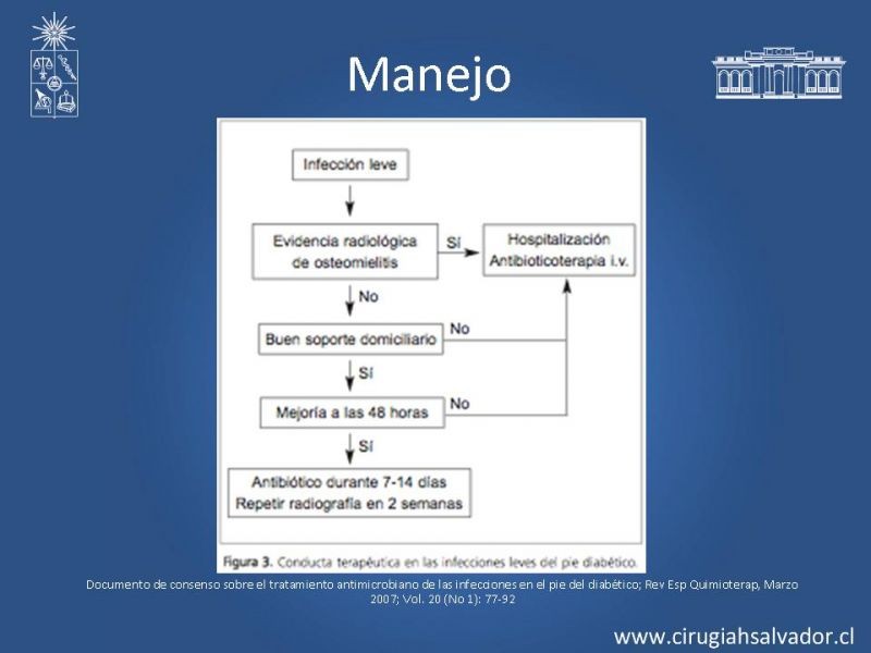 Diapositiva 16 de Pie Diabético